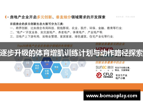 逐步升级的体育增肌训练计划与动作路径探索