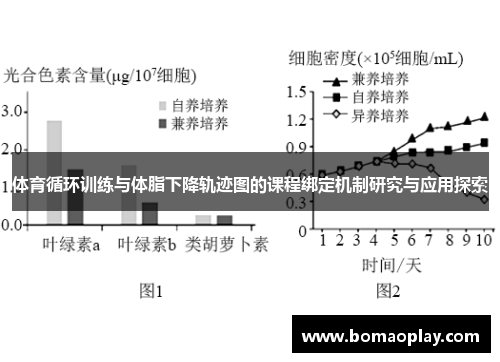 体育循环训练与体脂下降轨迹图的课程绑定机制研究与应用探索